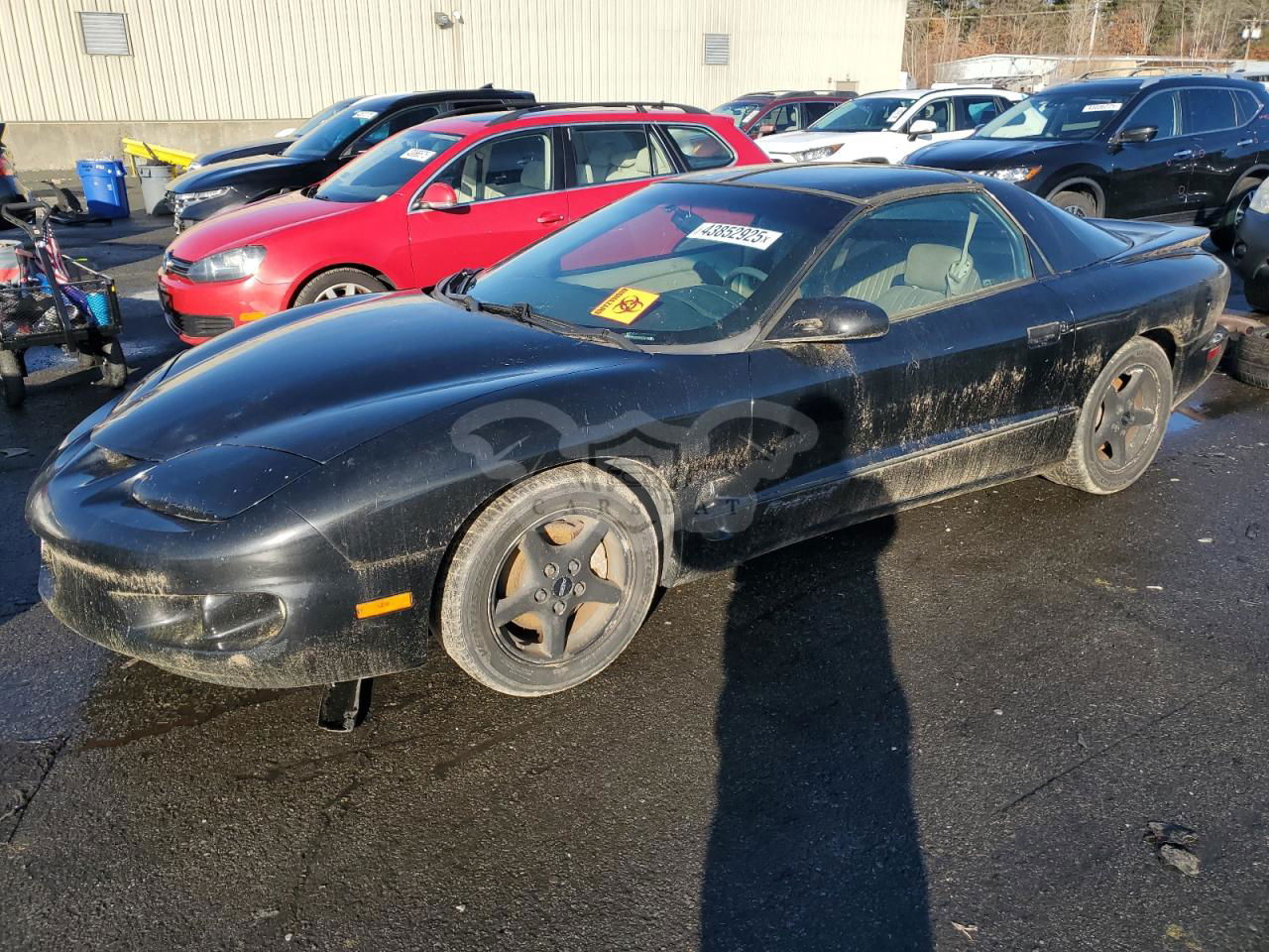 Pontiac Firebird 3.8L  6 1998