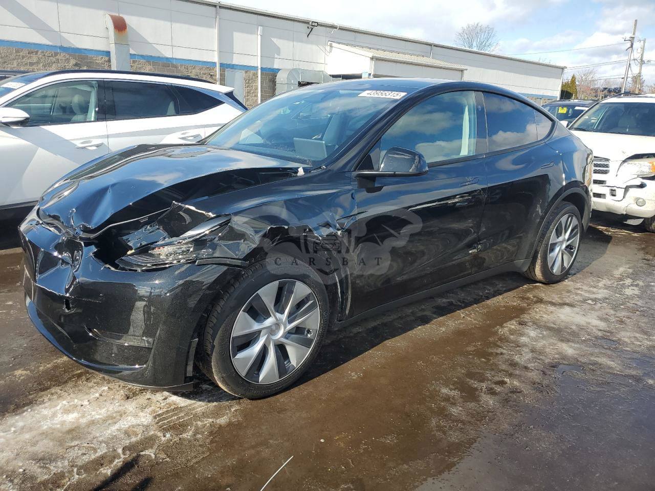 Tesla Model Y 2024