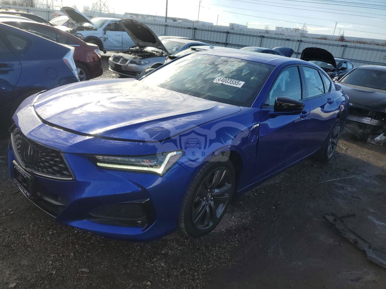 Acura TLX A-SPEC 2.0L  4 2023