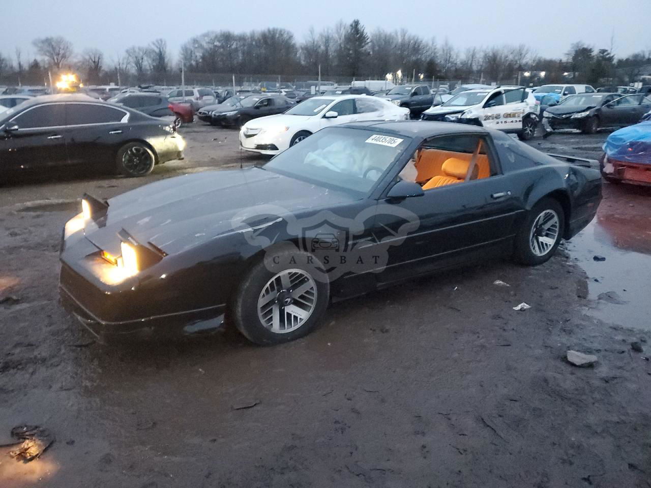 Pontiac Firebird 3.1L  6 1990