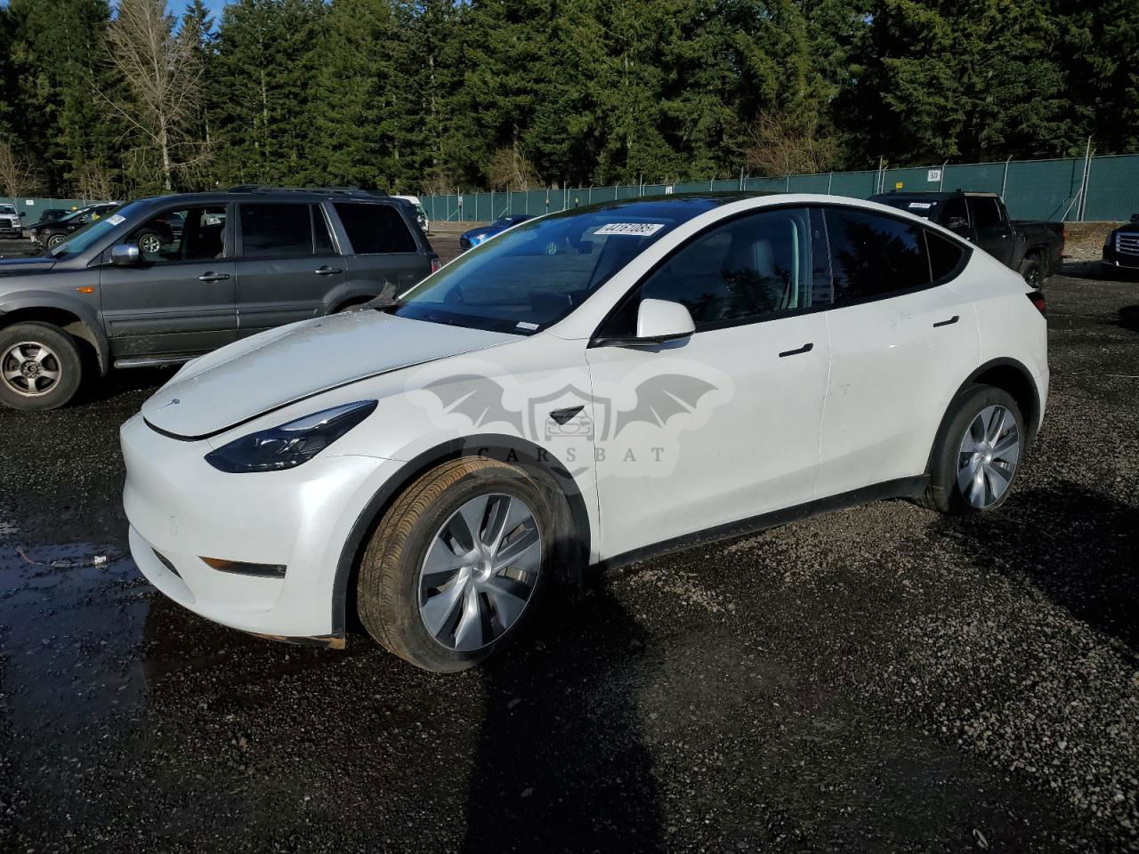 Tesla Model Y 2024