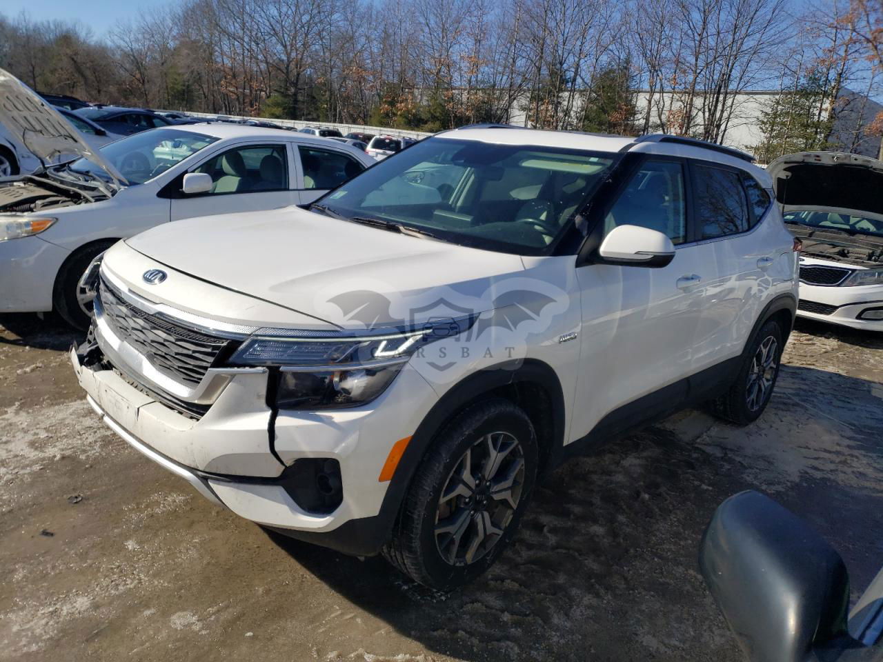 Kia Seltos EX 2.0L  4 2021