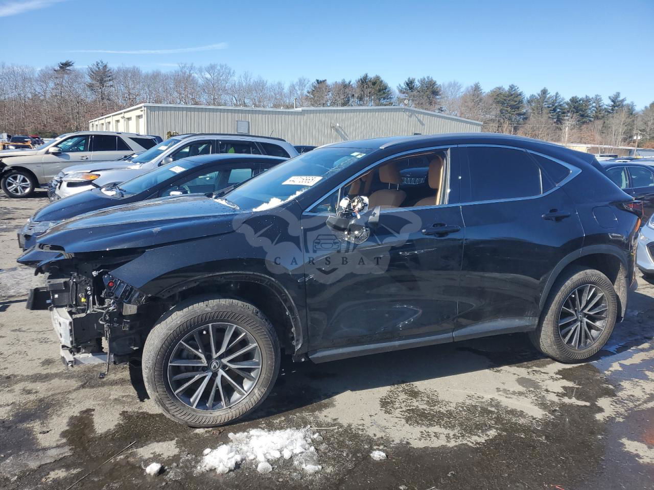 Lexus NX 350 BASE 2.4L  4 2024