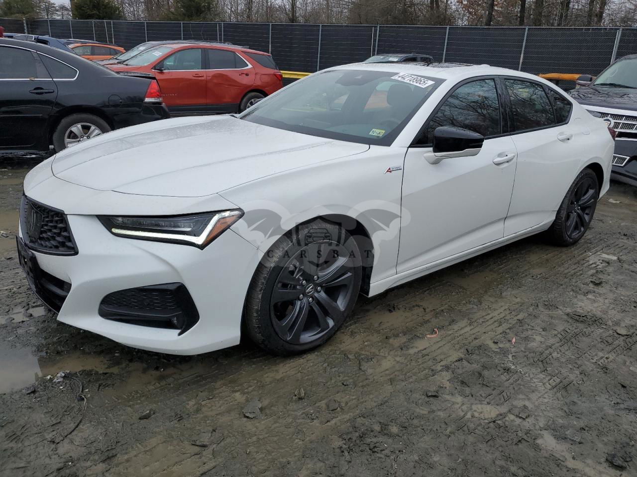 Acura TLX A-SPEC 2.0L  4 2023