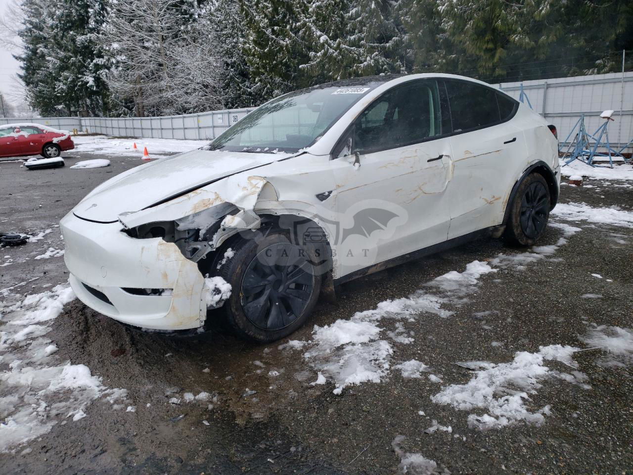 Tesla Model Y 2024