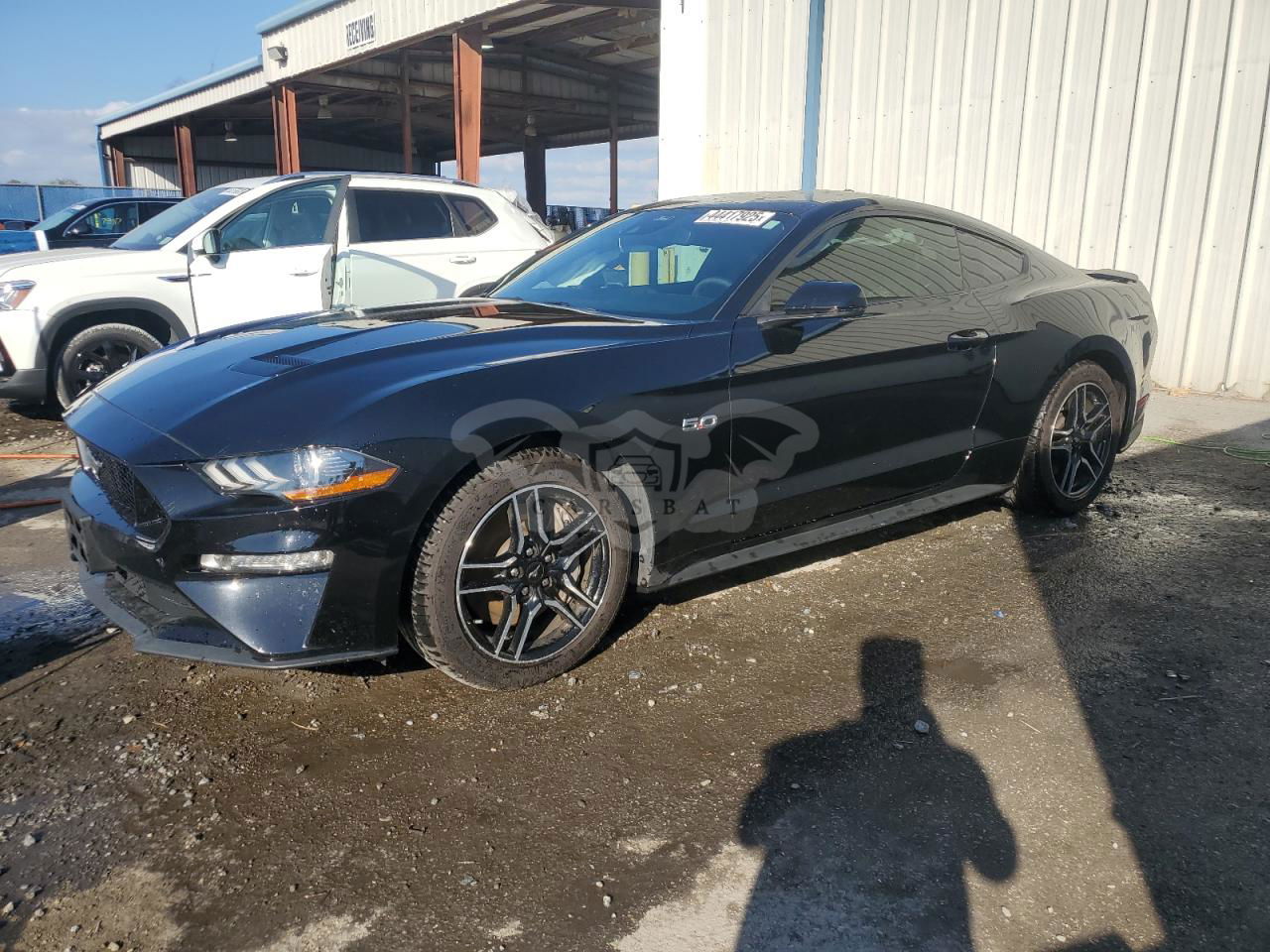 Ford Mustang GT 5.0L  8 2021