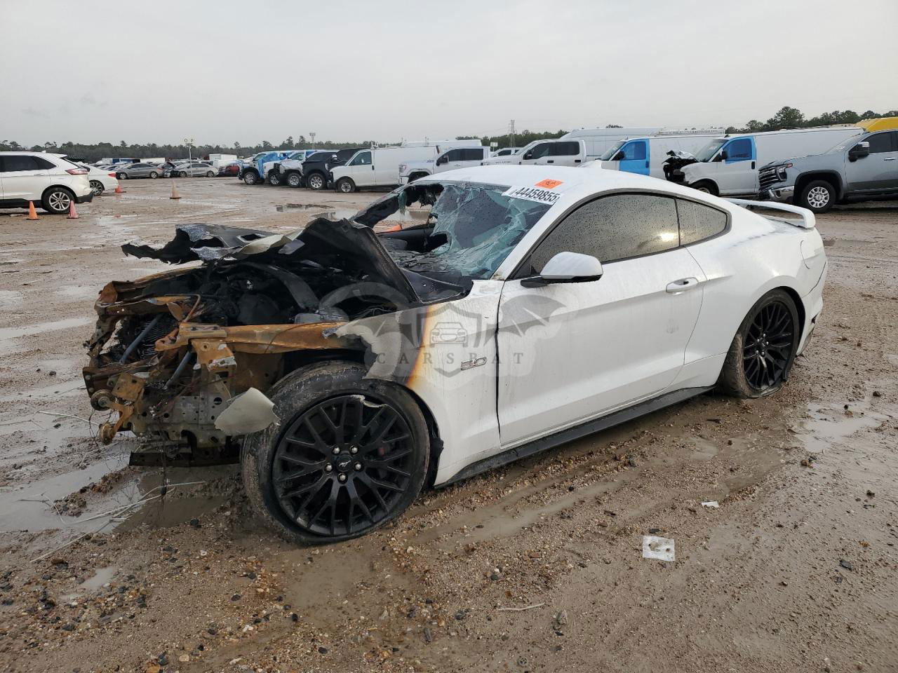 Ford Mustang GT 5.0L  8 2021