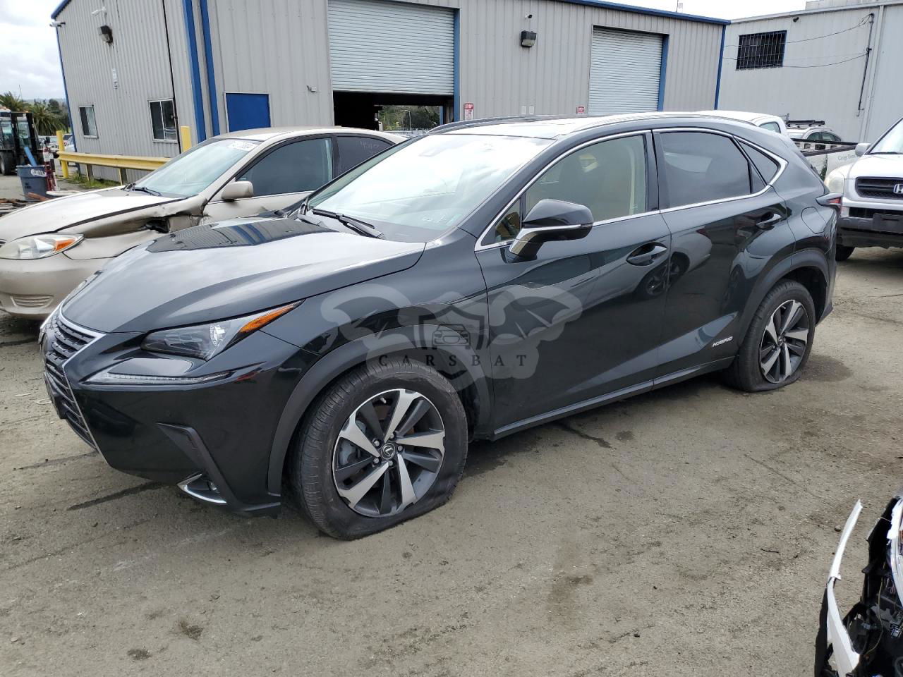 Lexus NX 2020