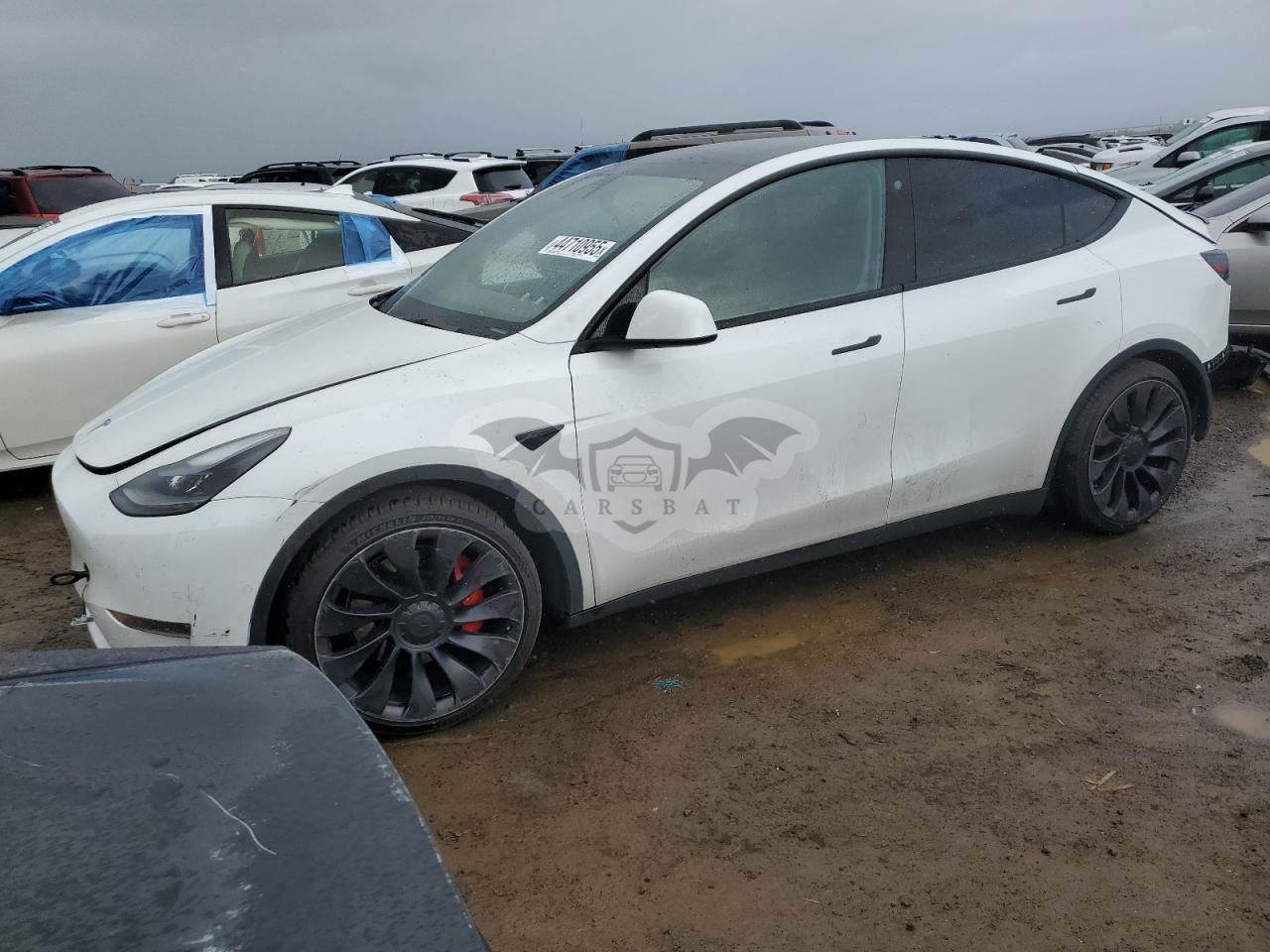 Tesla Model Y 2021