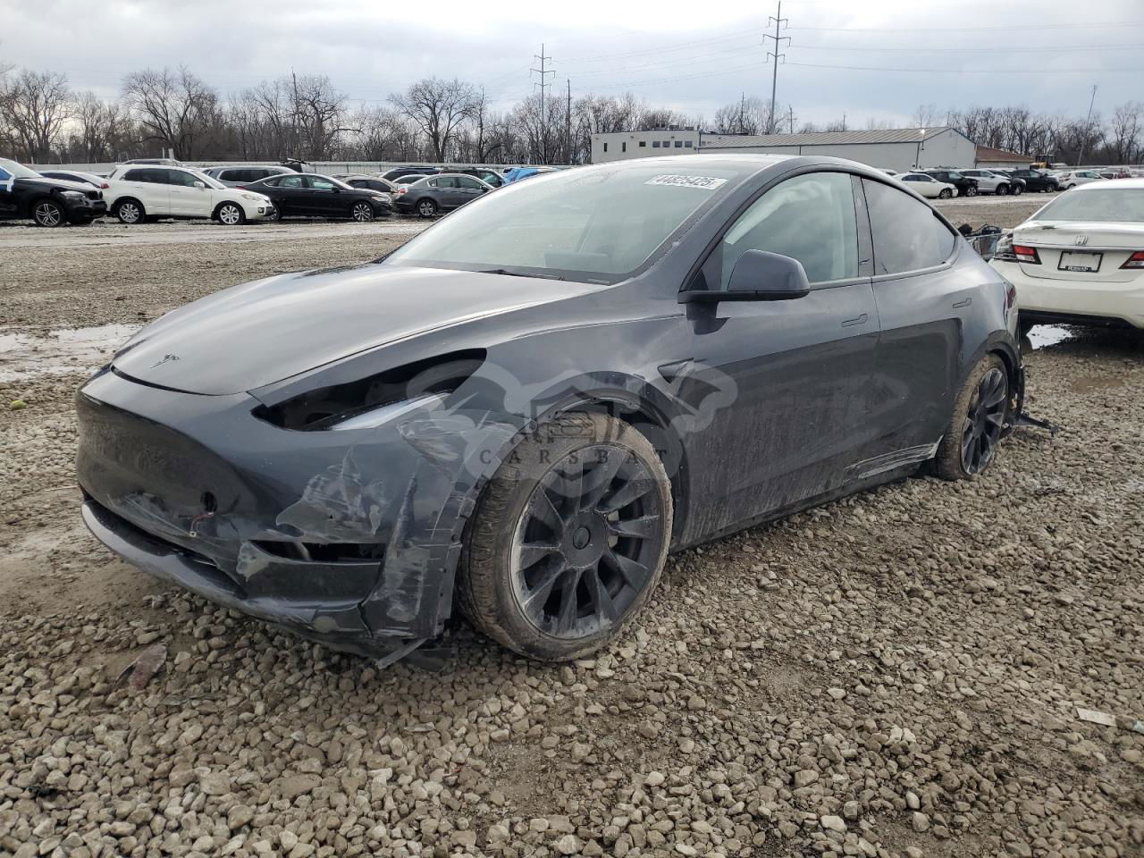 Tesla Model Y 2024