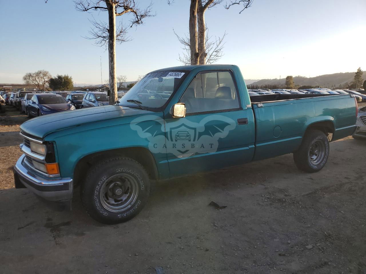 Chevrolet C/K Series C1500 4.3L  6 1995