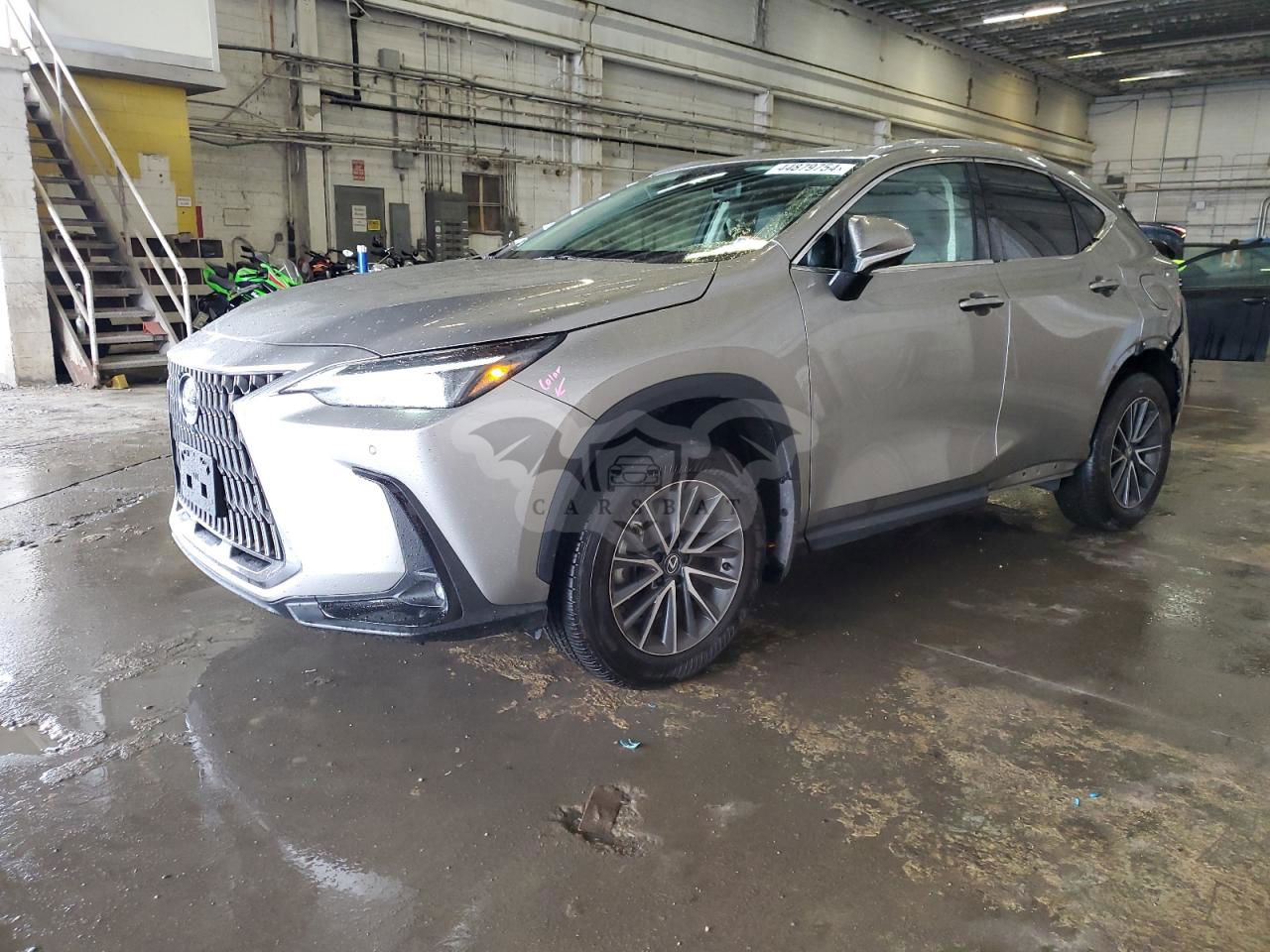 Lexus NX 2024