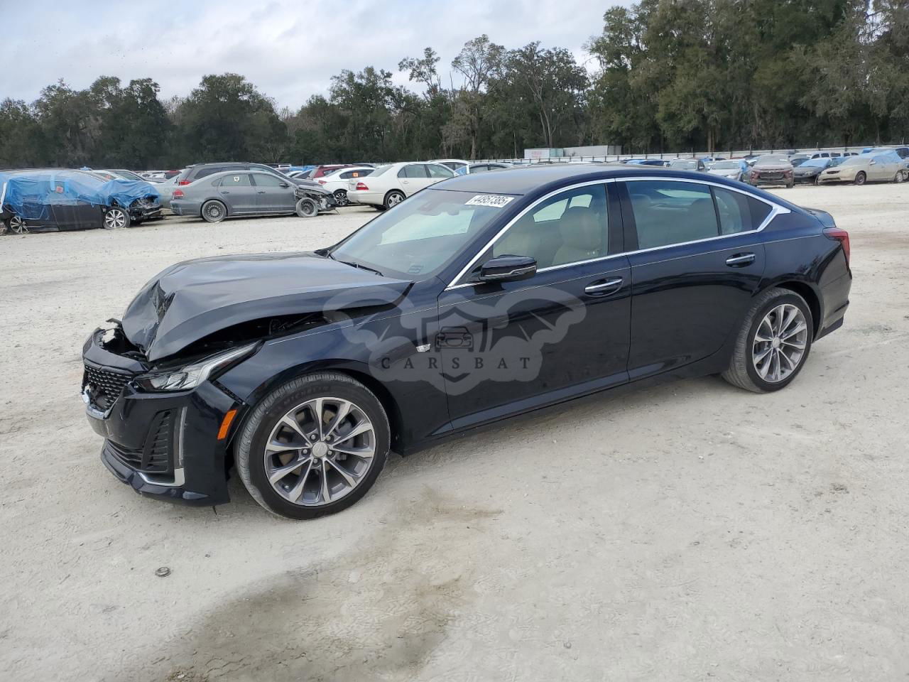 Cadillac CT5 PREMIUM LUXURY 2.0L  4 2020