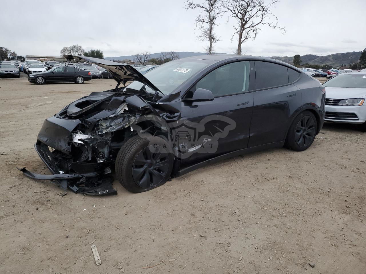 Tesla Model Y 2024