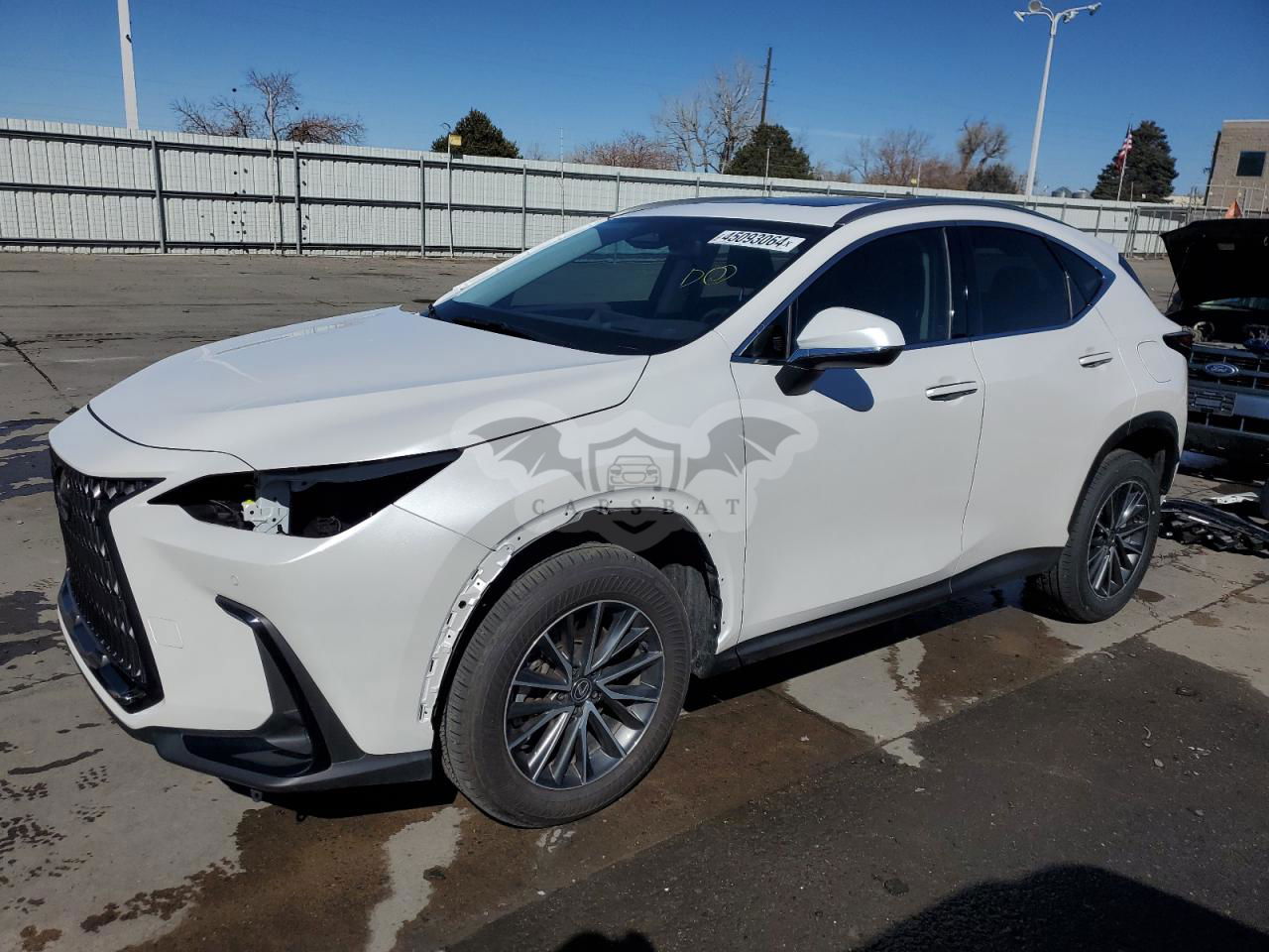Lexus NX 2024