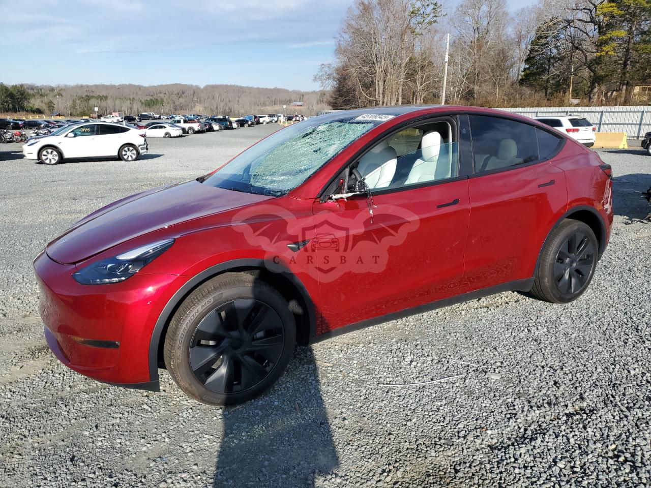 Tesla Model Y 2024