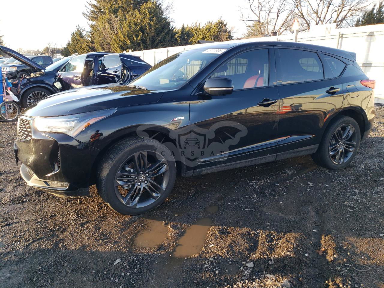 Acura RDX A-SPEC 2.0L  4 2024