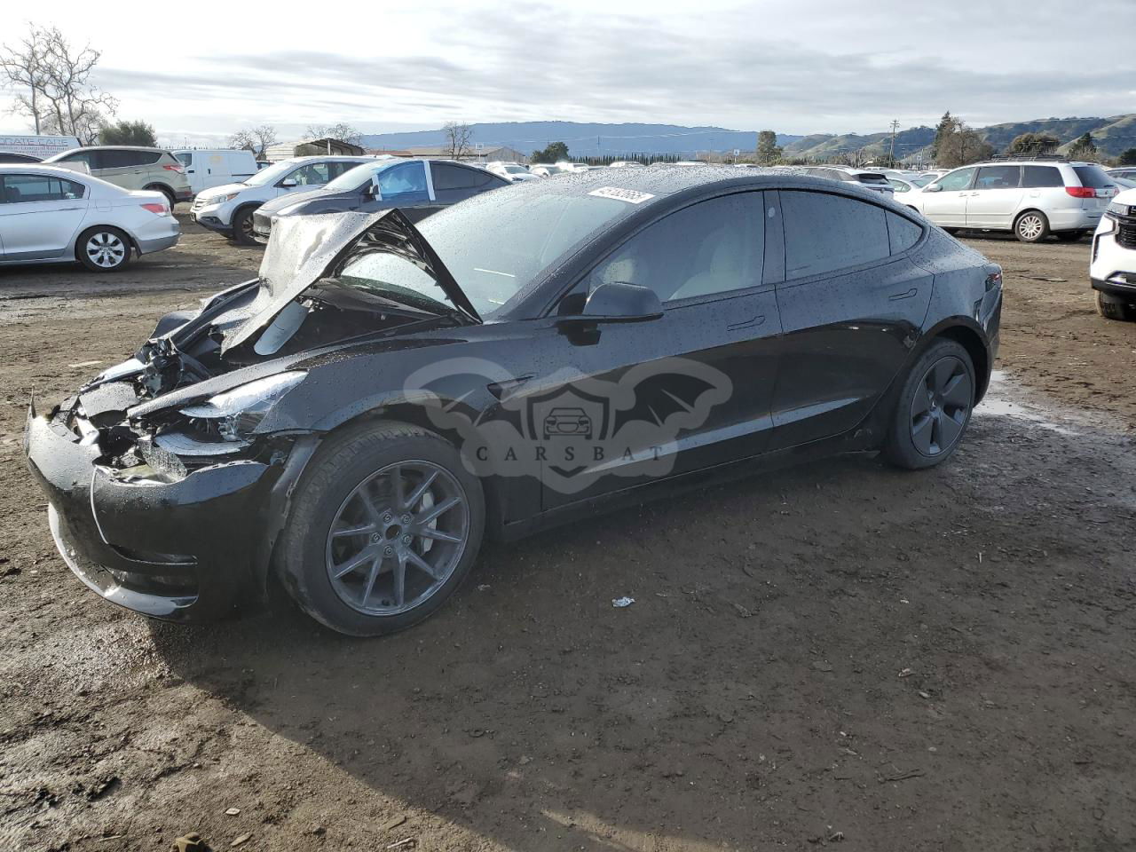 Tesla Model 3 2023