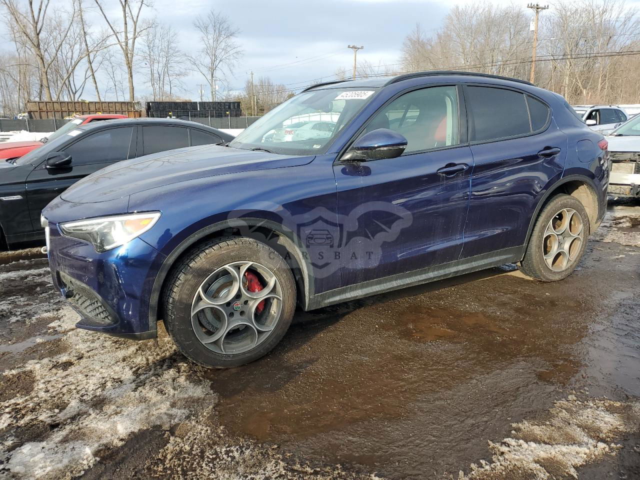 Alfa Romeo Stelvio 2.0L  4 2019