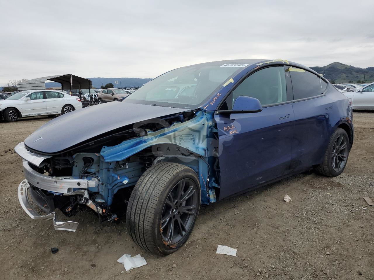 Tesla Model Y 2024