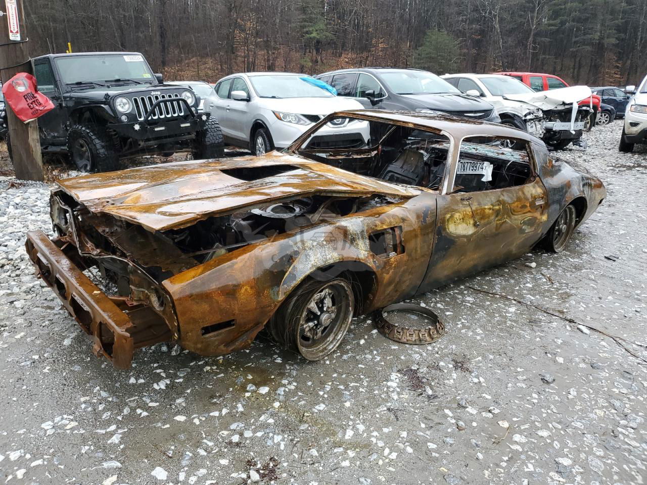 Pontiac Firebird TRANS AM 5.0L  8 1981