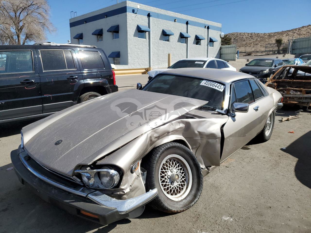 Jaguar XJS 5.3L 12 1989