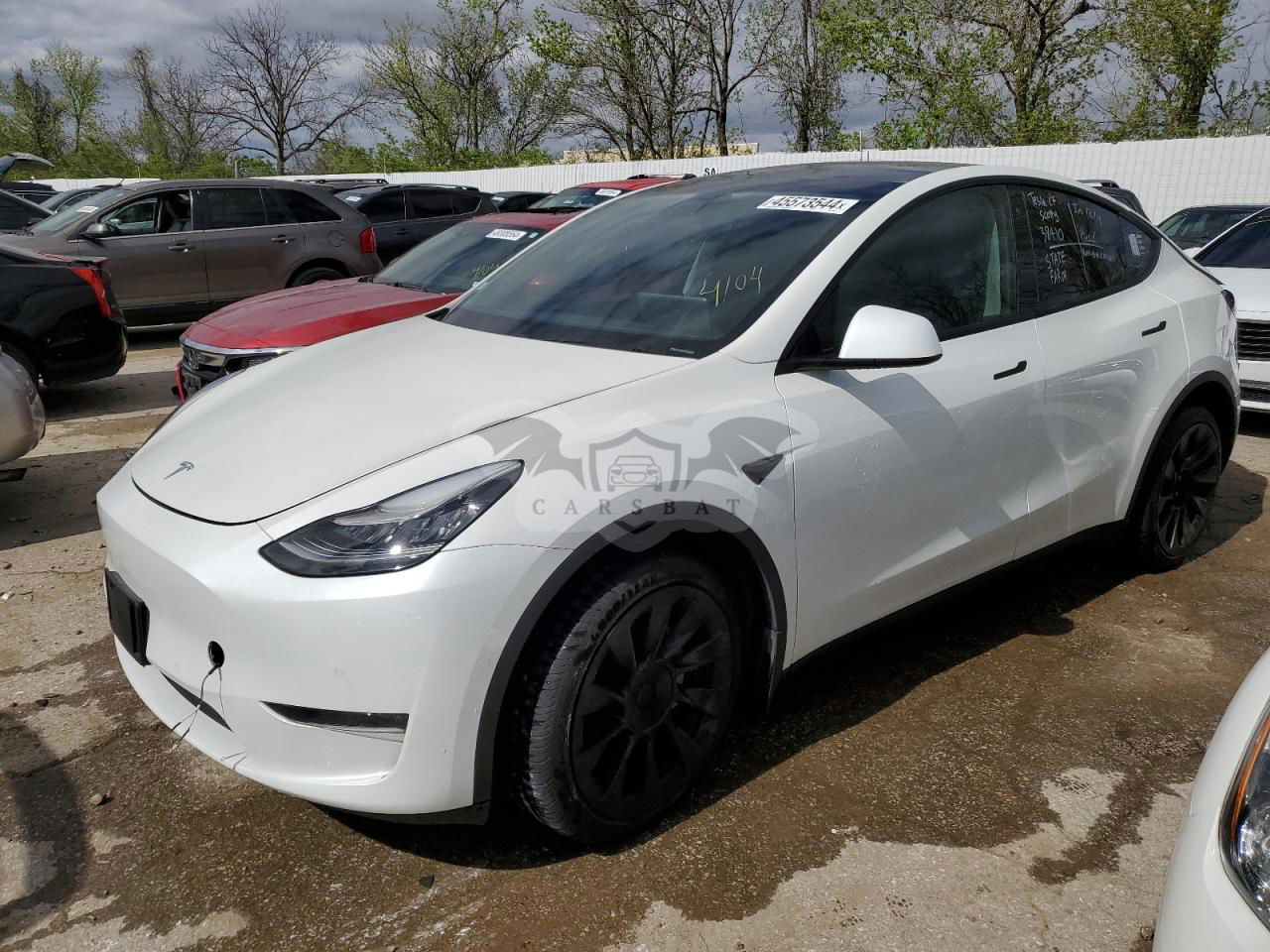 Tesla Model Y 2021