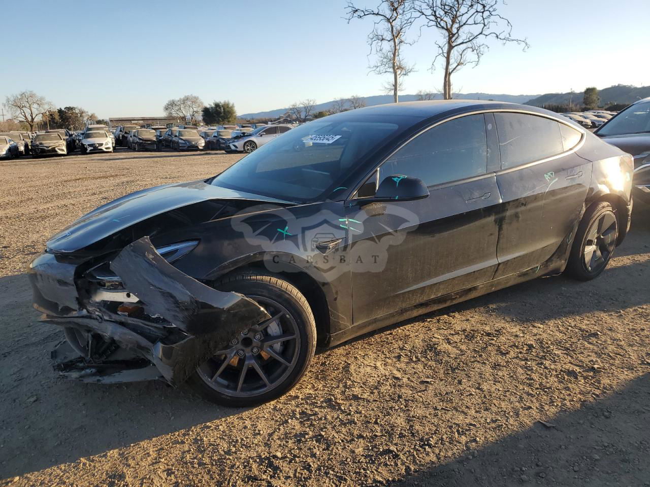 Tesla Model 3 2023