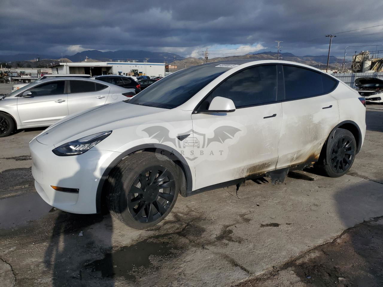 Tesla Model Y 2020