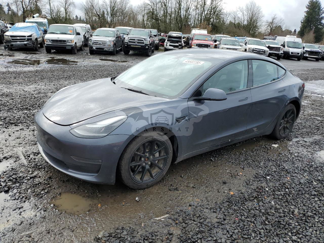 Tesla Model 3 2023