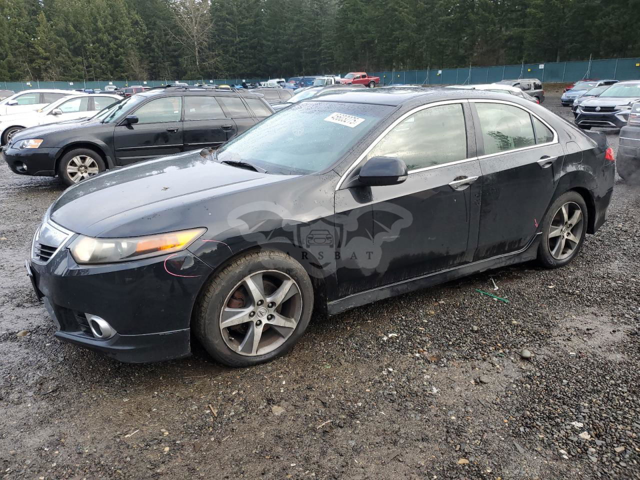 Acura TSX SE 2.4L  4 2012