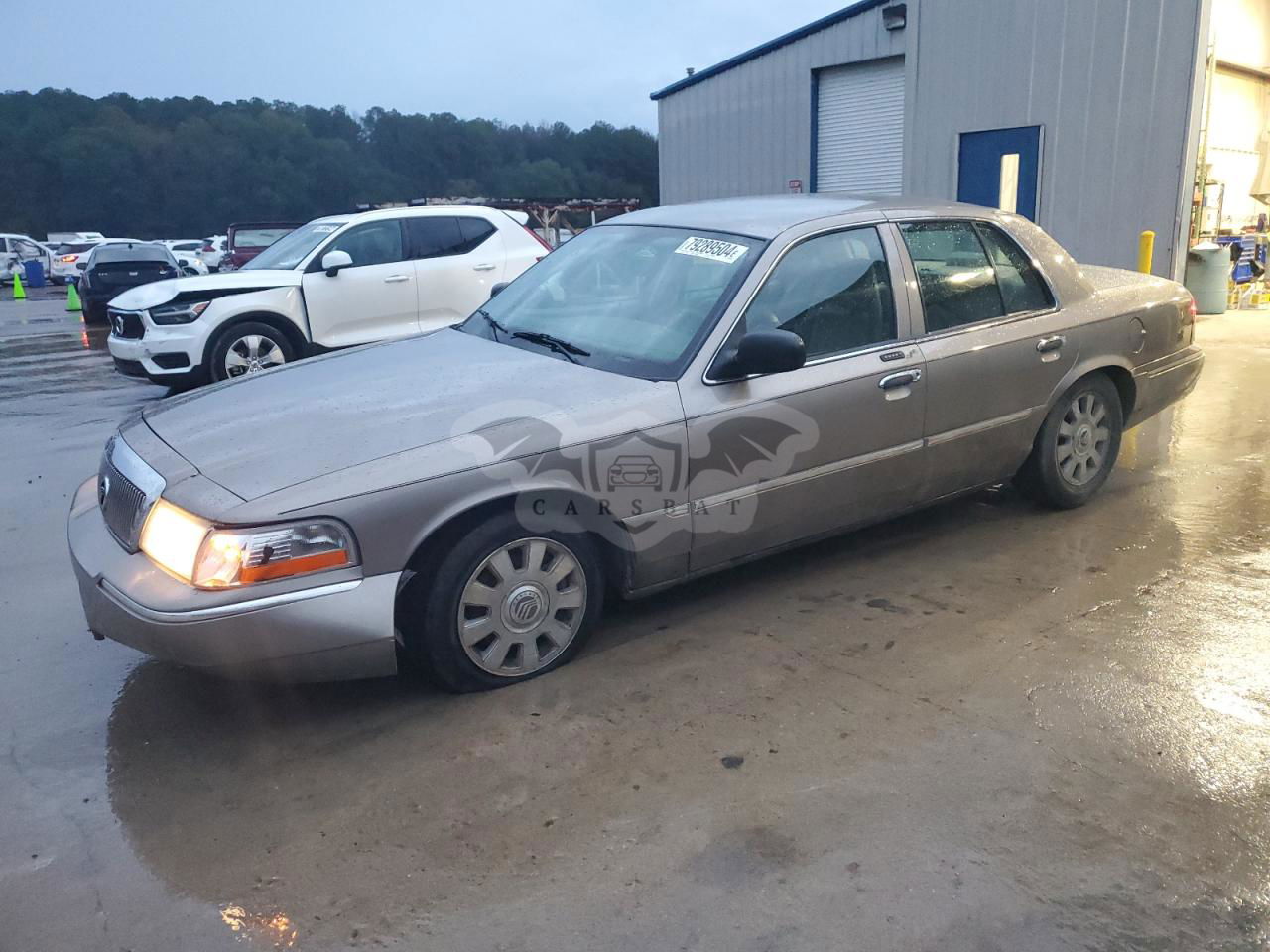 Mercury Grand Marquis LS 4.6L  8 2004