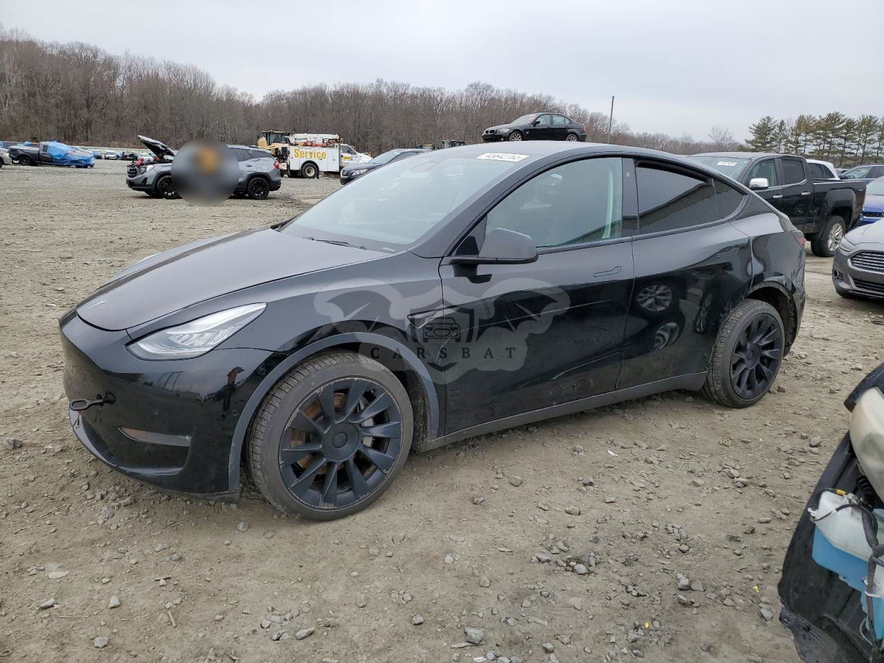 Tesla Model Y 2020