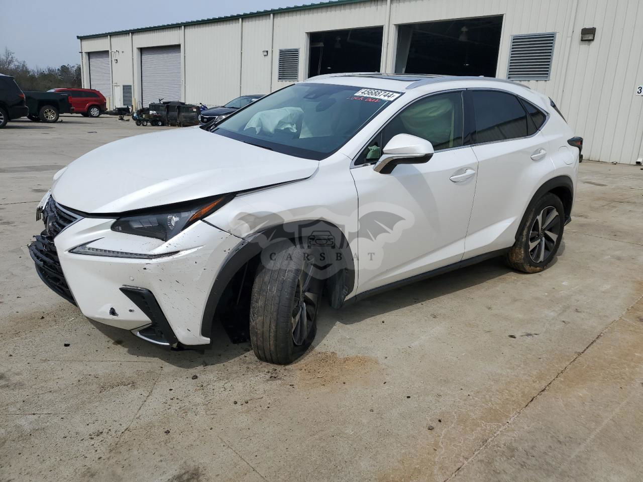 Lexus NX 2020