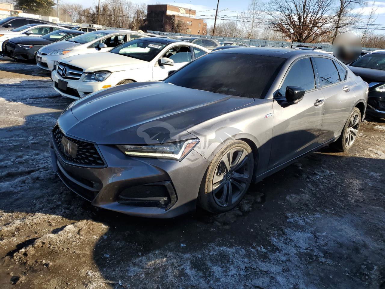 Acura TLX A-SPEC 2.0L  4 2023