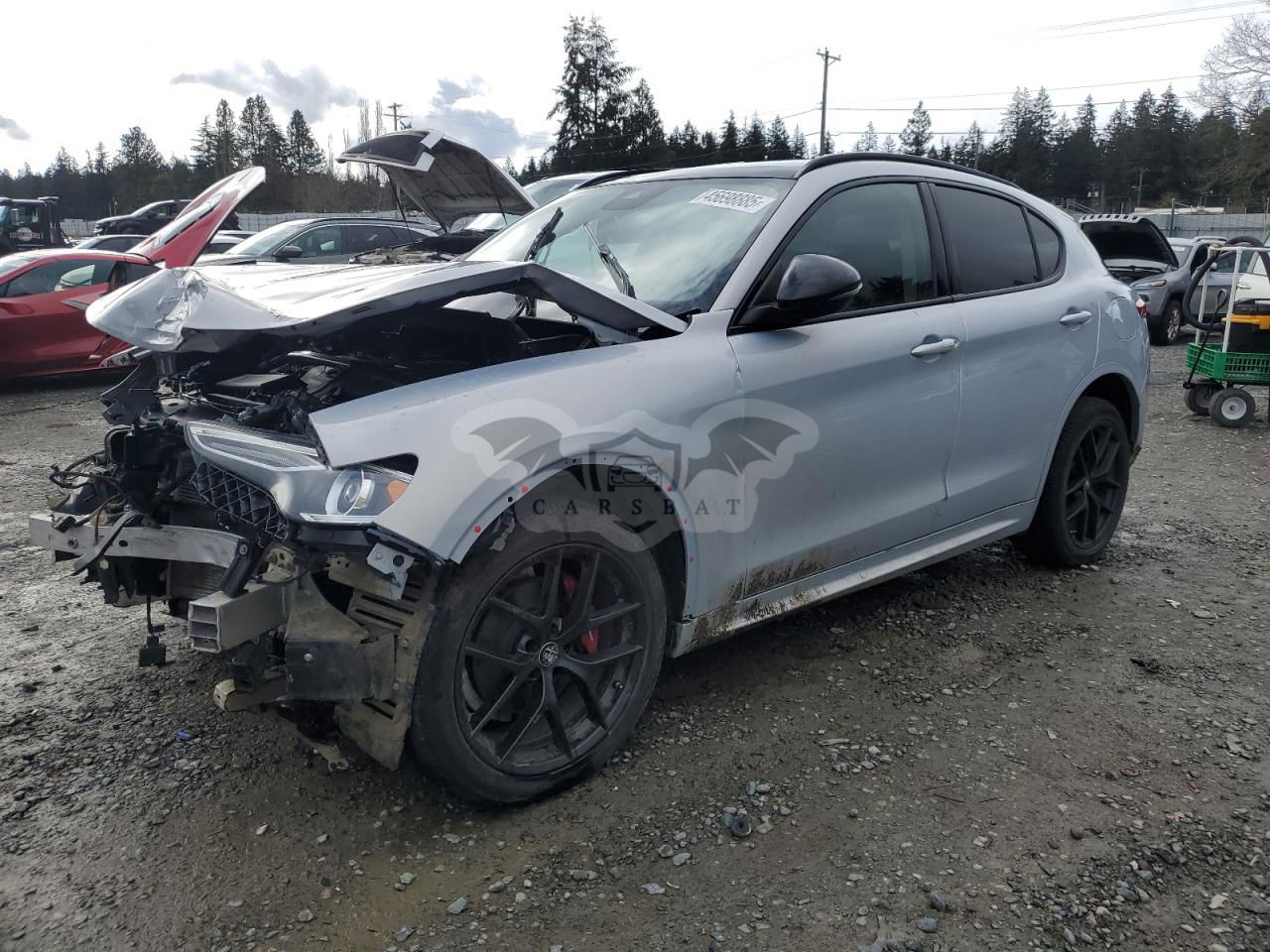 Alfa Romeo Stelvio TI 2.0L  4 2021