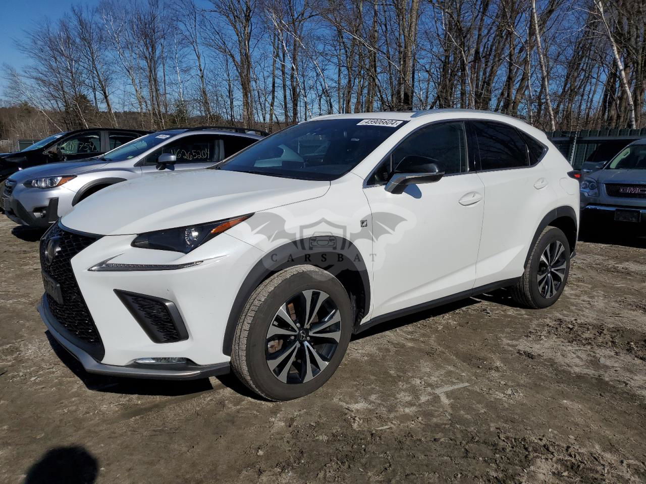 Lexus NX 2020