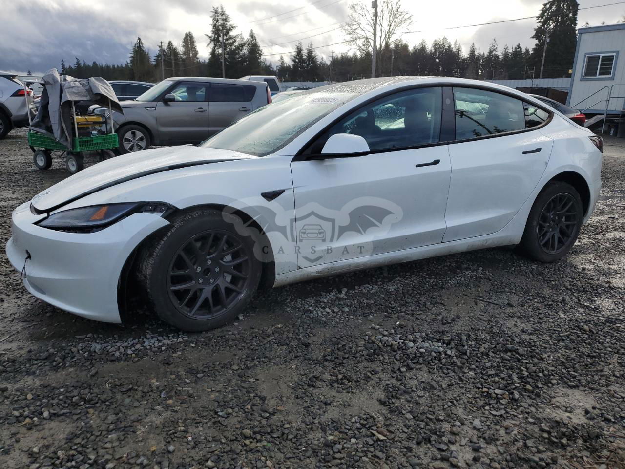 Tesla Model 3 2024