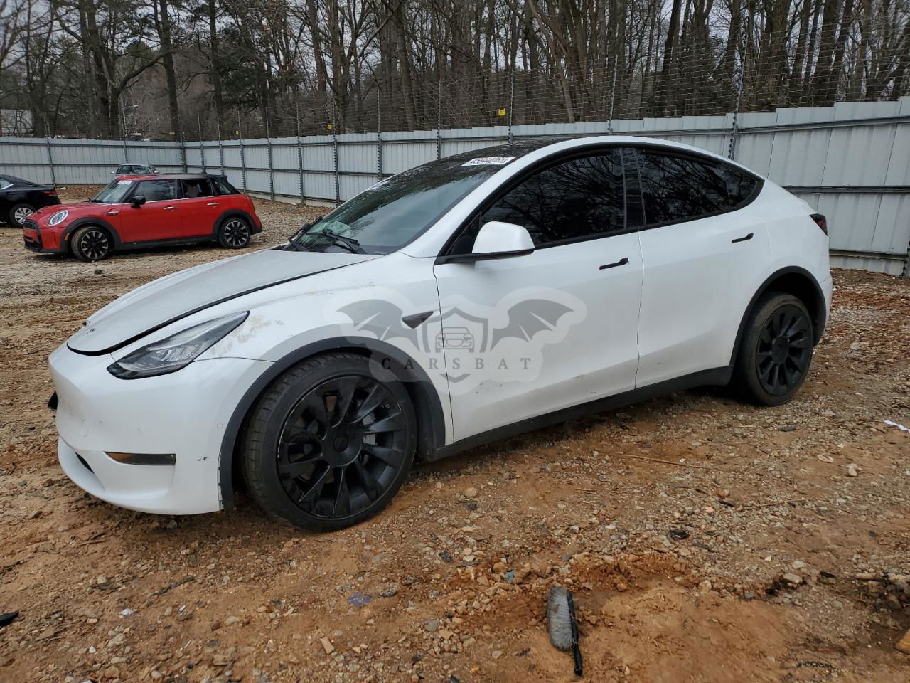 Tesla Model Y 2020