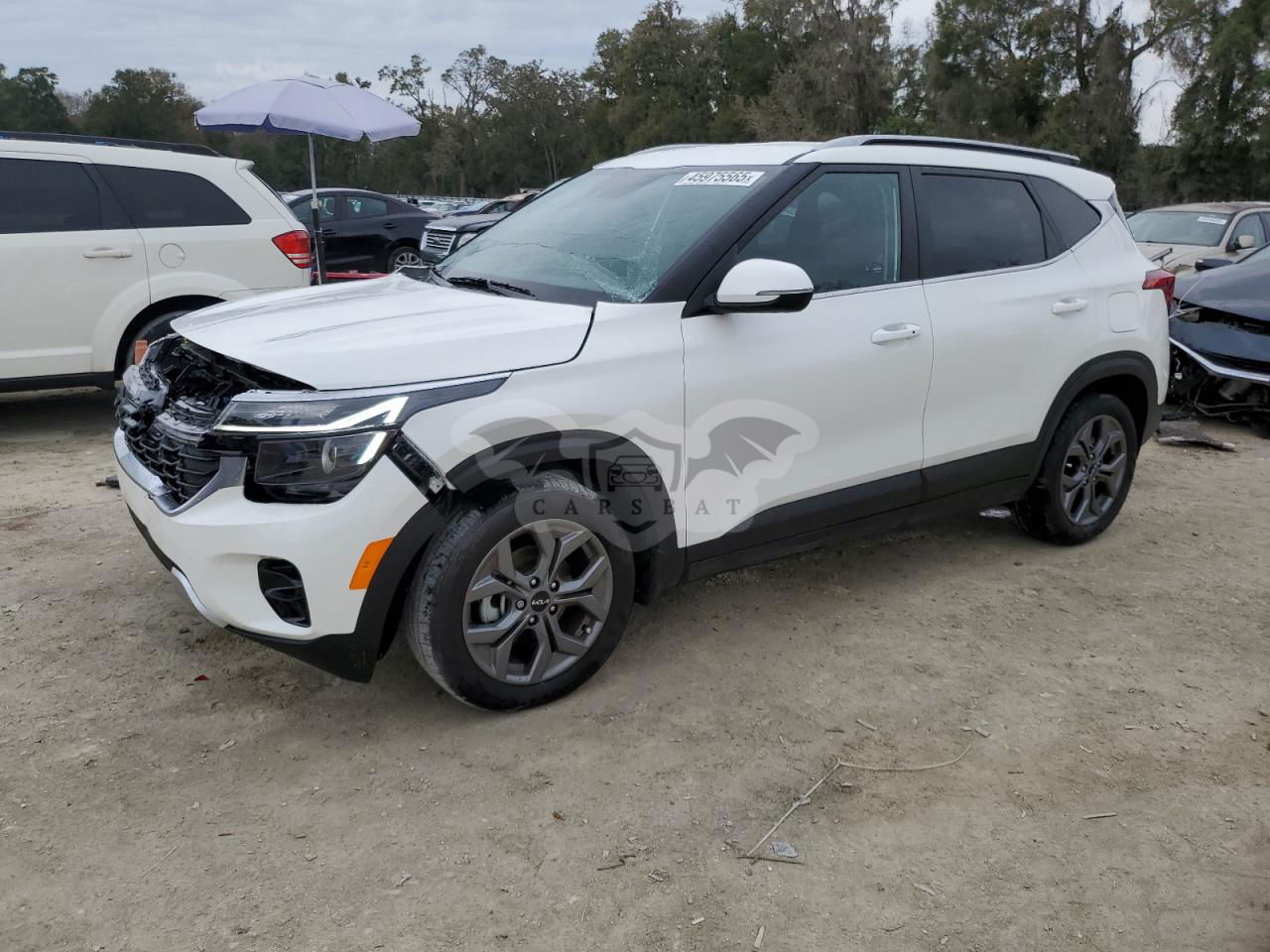 Kia Seltos S 2.0L  4 2024