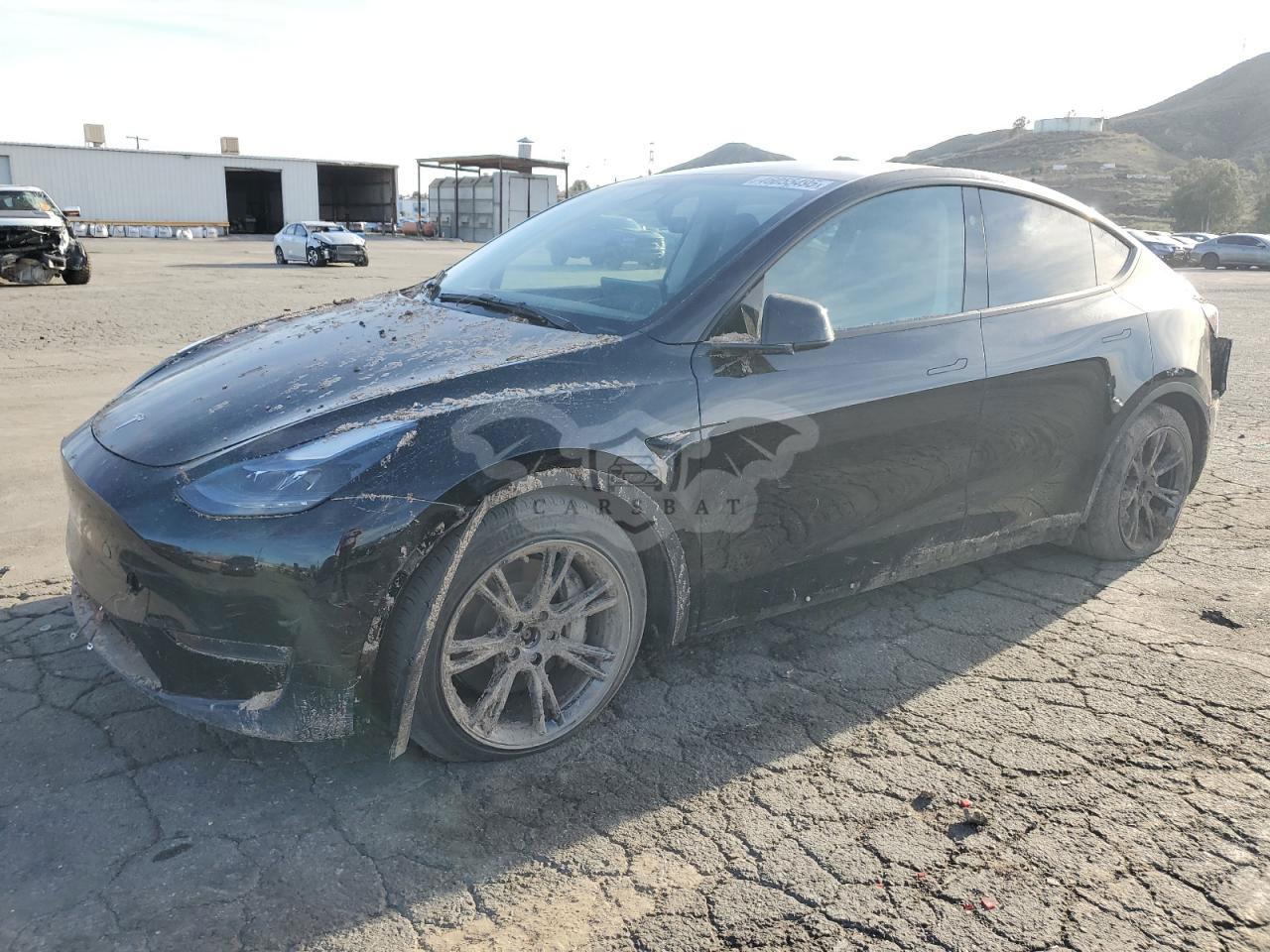 Tesla Model Y 2024