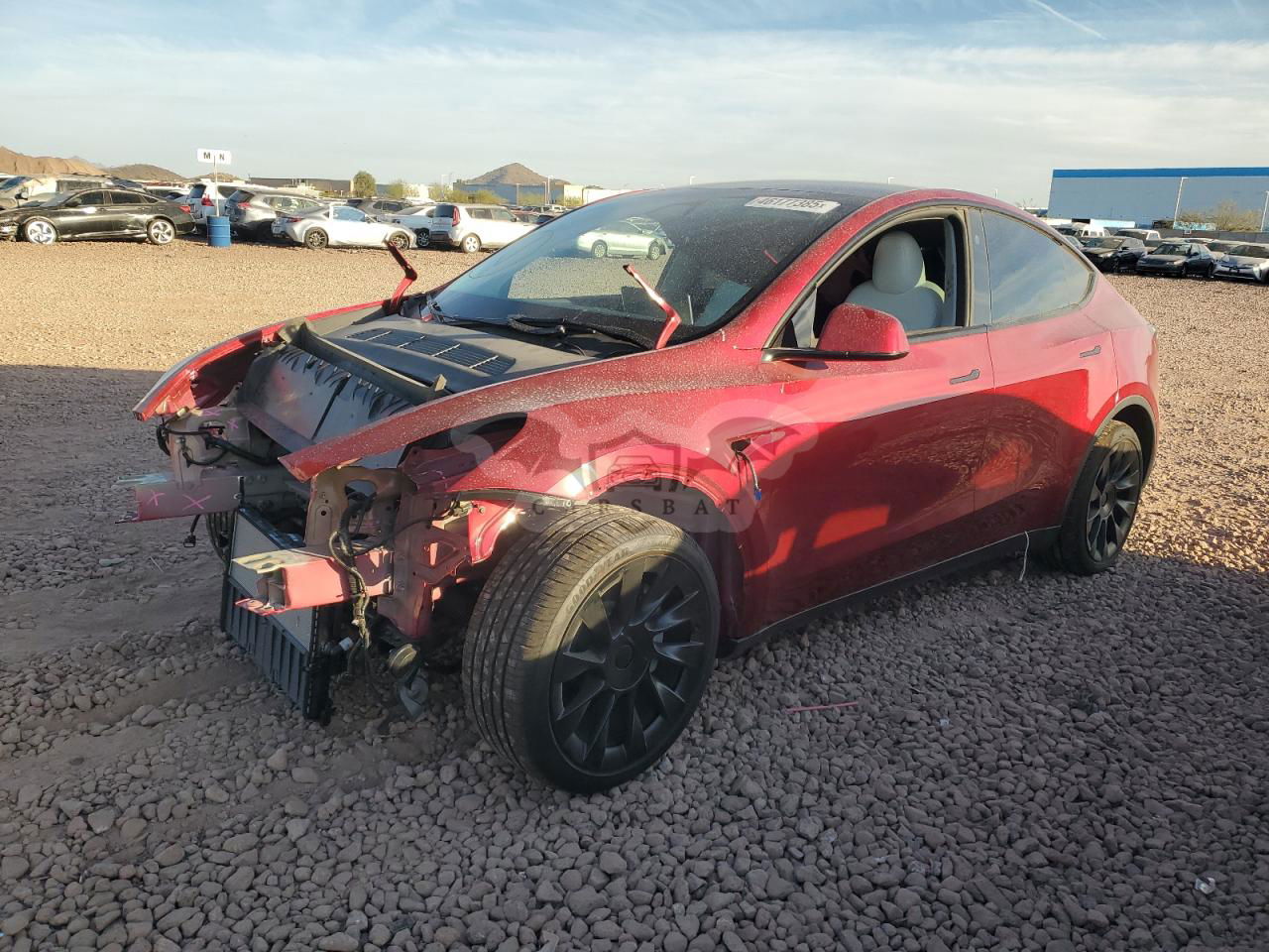 Tesla Model Y 2024