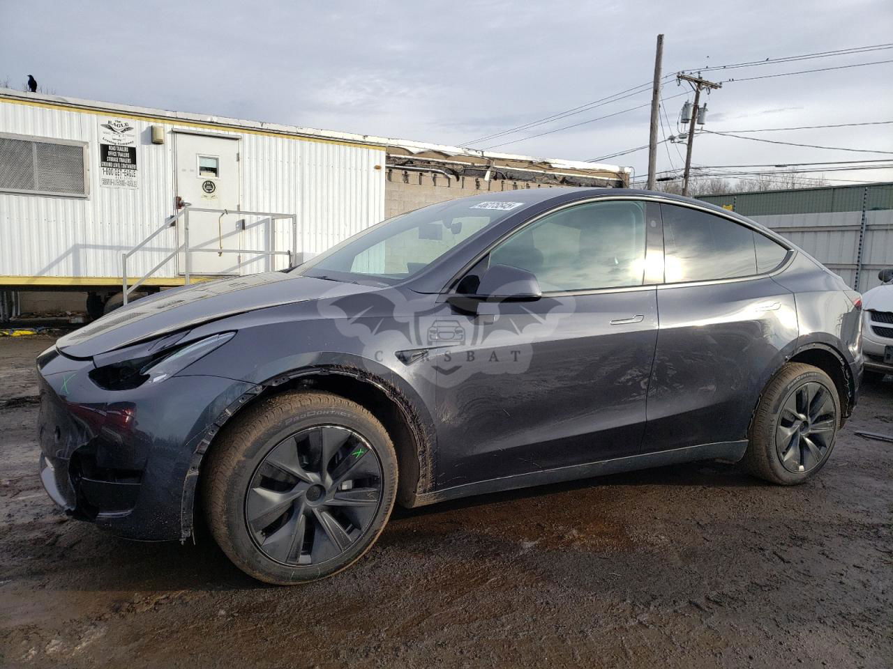 Tesla Model Y 2024