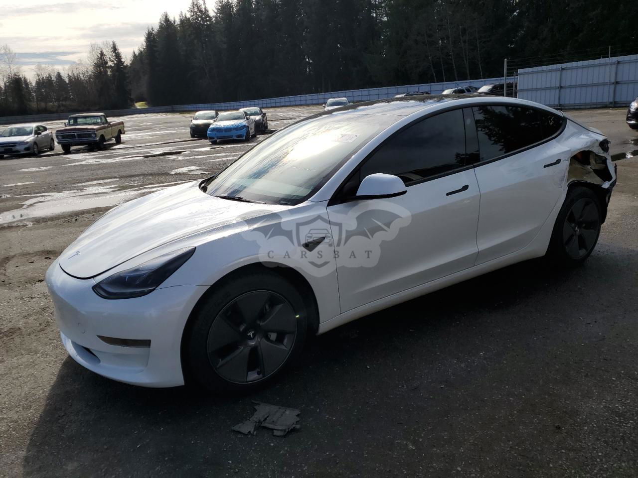 Tesla Model 3 2023