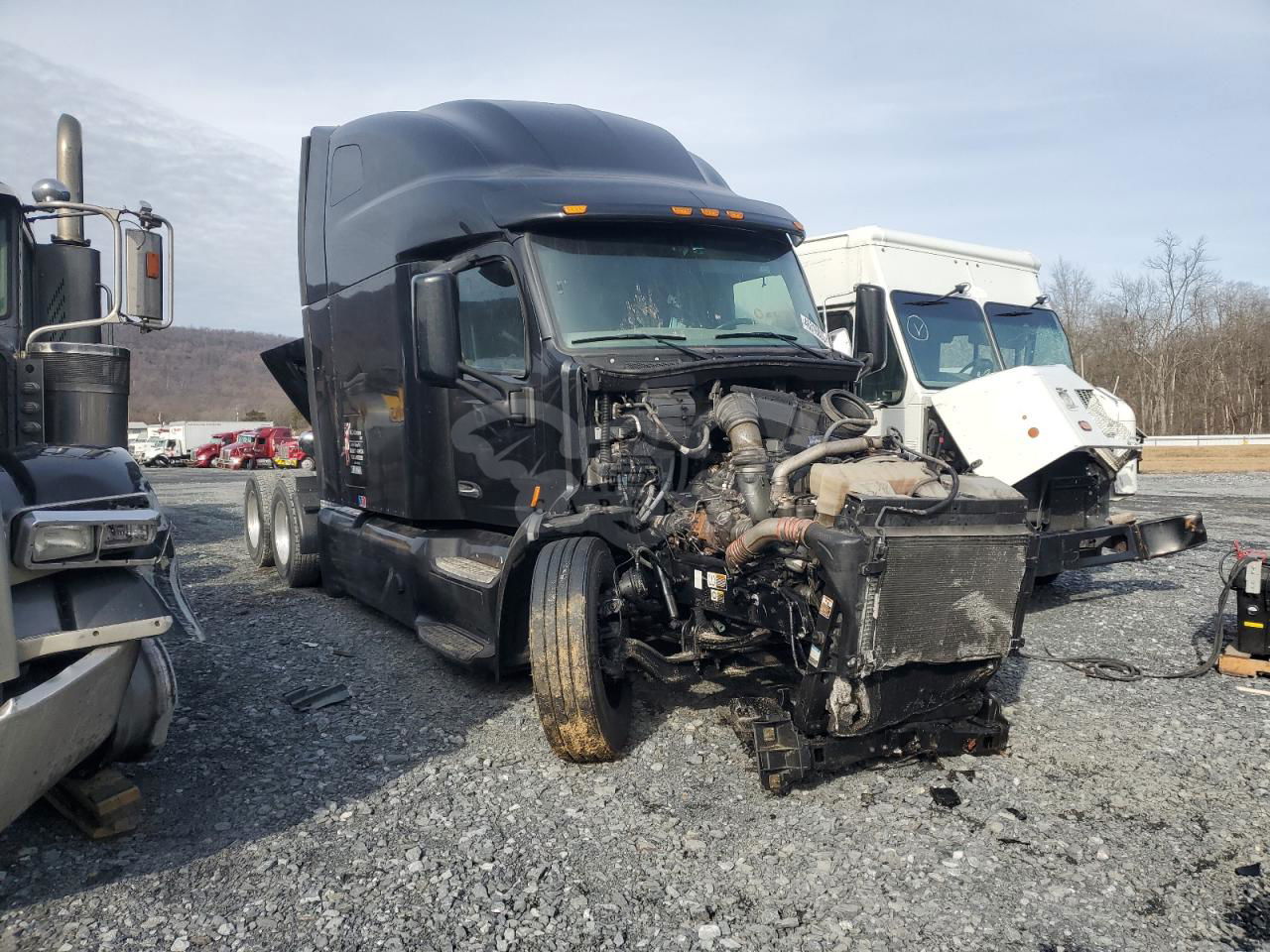 Peterbilt 567/579/587 12.9L  6 2020