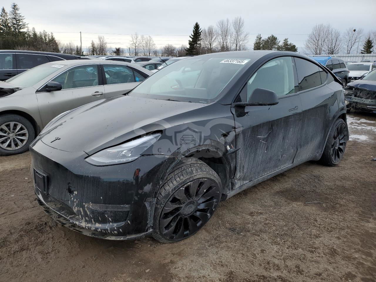 Tesla Model Y 2022