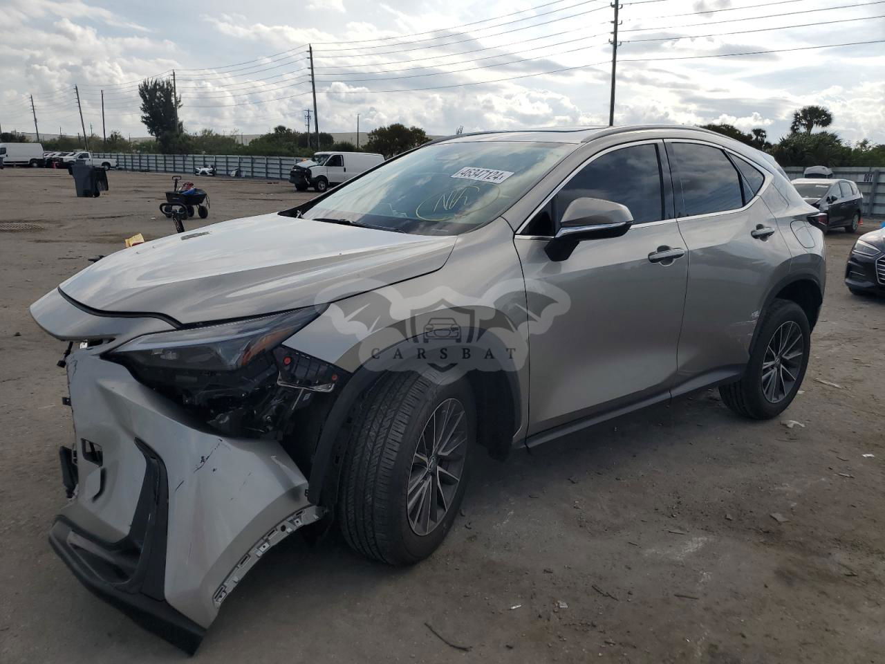 Lexus NX 2024