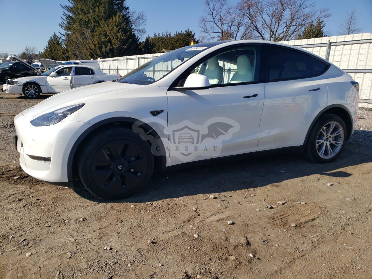 Tesla Model Y 2024