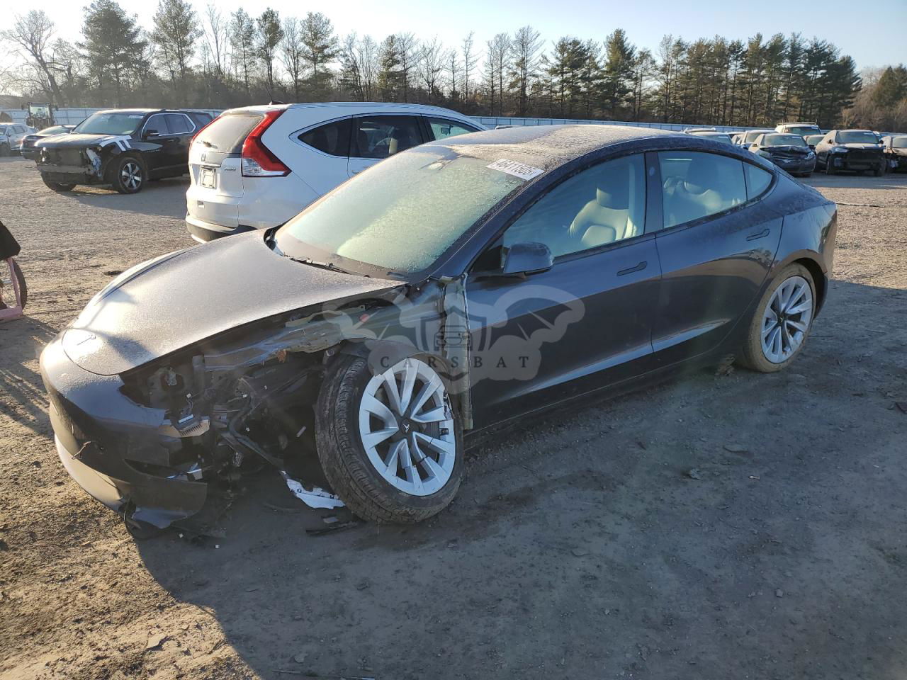 Tesla Model 3 2023