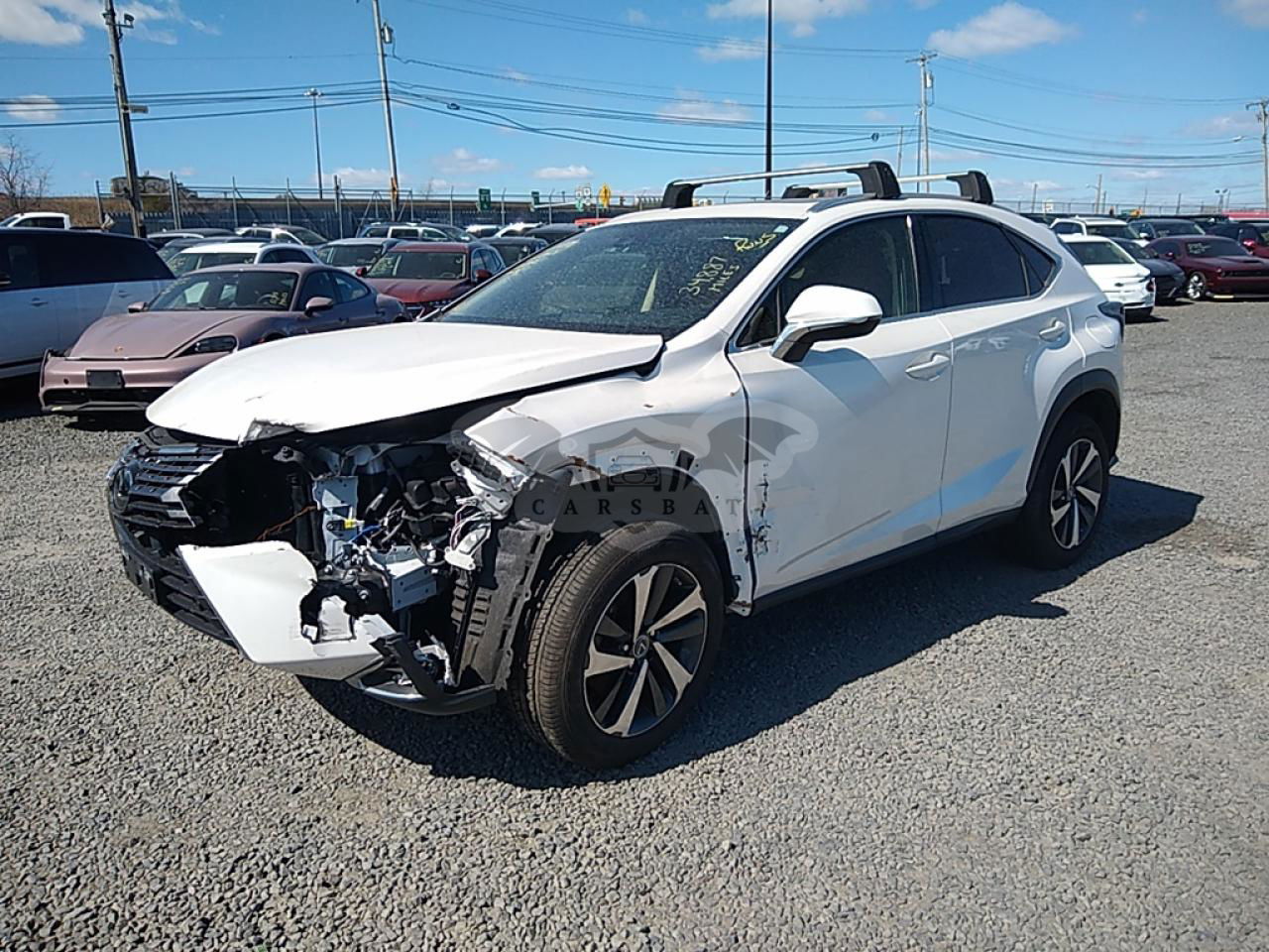 Lexus NX 2021